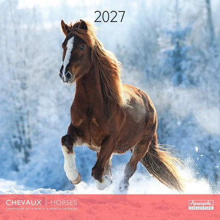 Aquarupella Paarden Kalender 2027