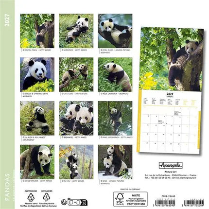 Aquarupella Panda Kalender 2027 Mini