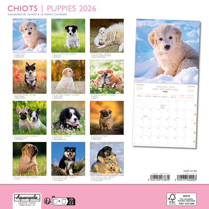 Aquarupella Puppies Kalender 2026