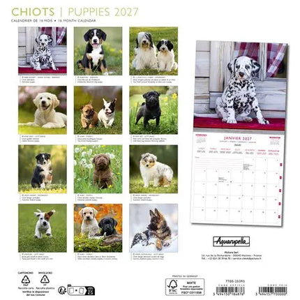 Aquarupella Puppies Kalender 2027