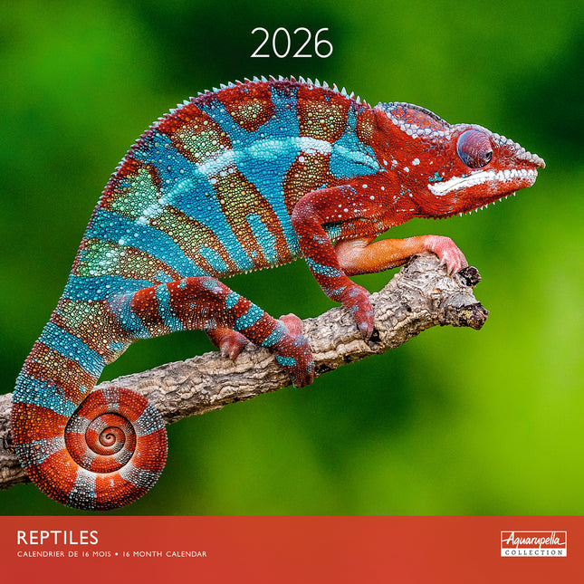 Aquarupella Reptielen Kalender 2026