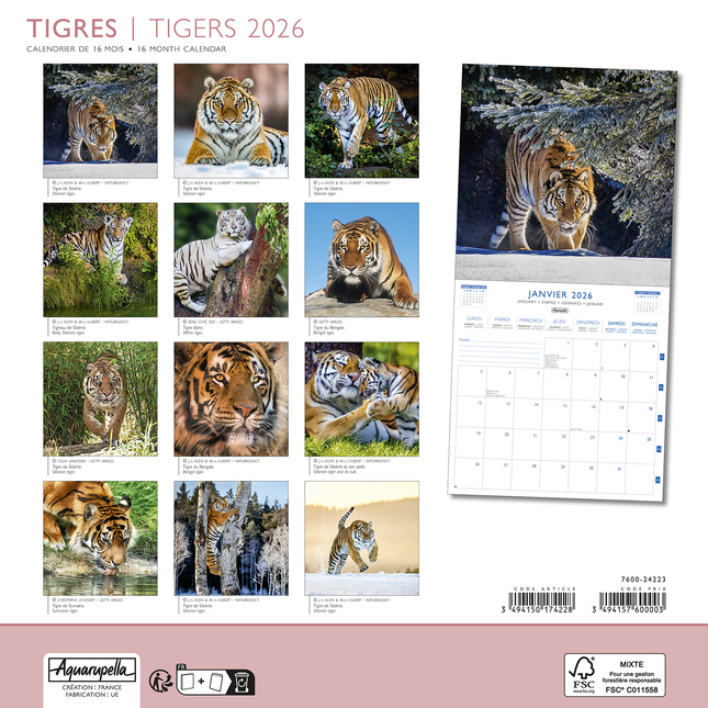 Aquarupella Tijger Kalender 2026