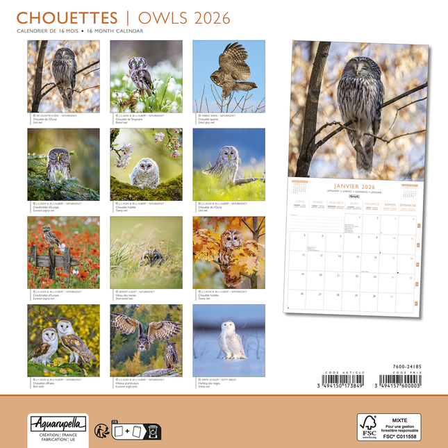 Aquarupella Uilen Kalender 2026