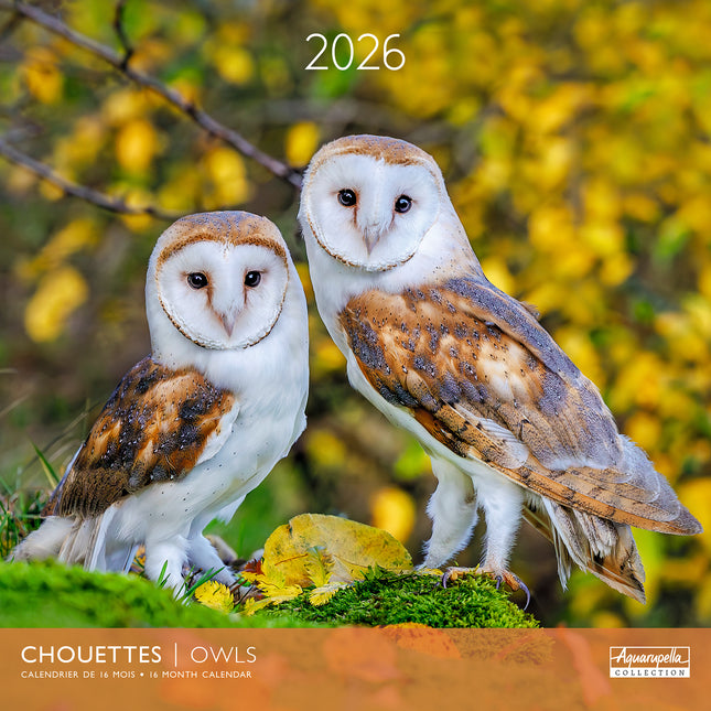 Aquarupella Uilen Kalender 2026
