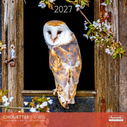 Aquarupella Uilen Kalender 2027