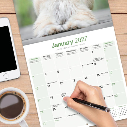 Avonside Afghaanse Windhond Kalender 2027