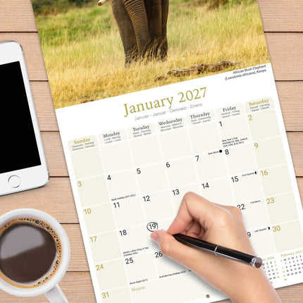 Avonside African Wildlife Kalender 2027