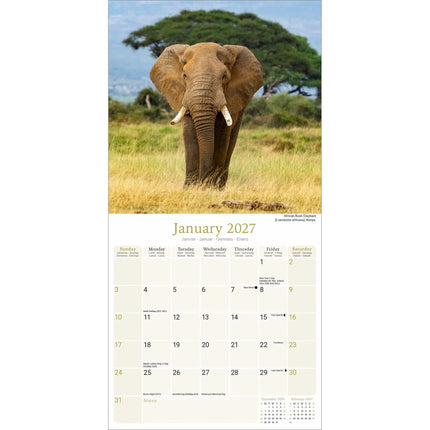 Avonside African Wildlife Kalender 2027