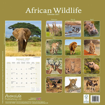 Avonside African Wildlife Kalender 2027