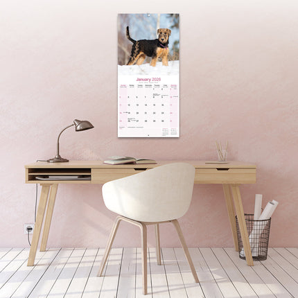 Avonside Airedale Terrier Kalender 2026