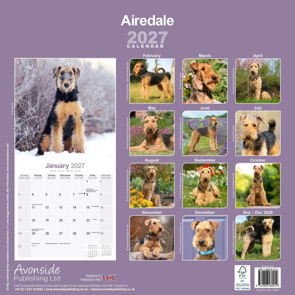 Avonside Airedale Terrier Kalender 2027