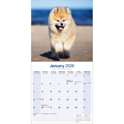 Avonside Akita Kalender 2026