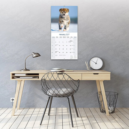 Avonside Akita Kalender 2027
