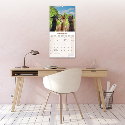Avonside Alpaca Kalender 2026