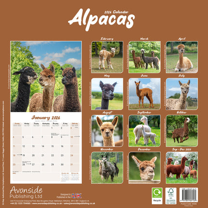 Avonside Alpaca Kalender 2026