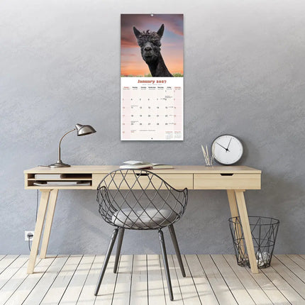Avonside Alpaca Kalender 2027