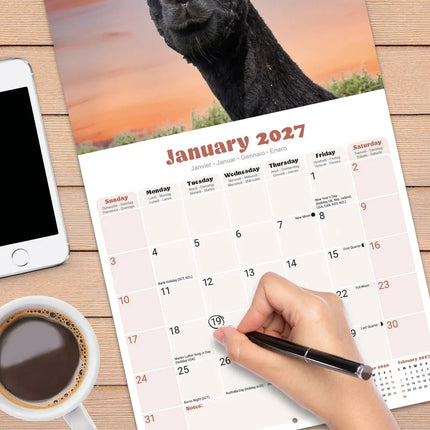 Avonside Alpaca Kalender 2027