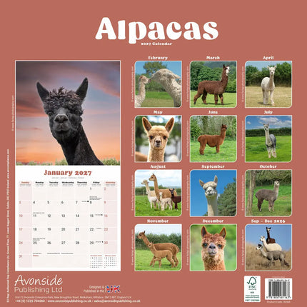 Avonside Alpaca Kalender 2027