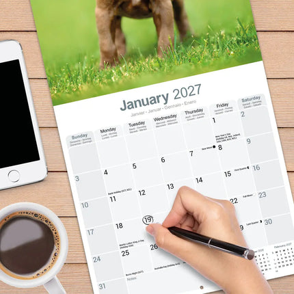 Avonside American Pit Bull Terrier Kalender 2027