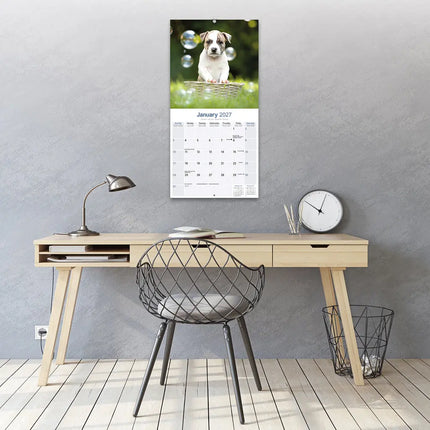 Avonside American Staffordshire Terrier Kalender 2027