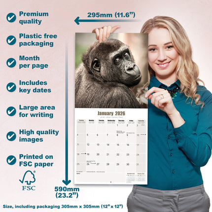 Avonside Apen Kalender 2026