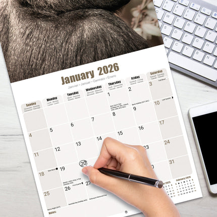 Avonside Apen Kalender 2026