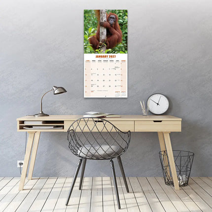 Avonside Apen Kalender 2027