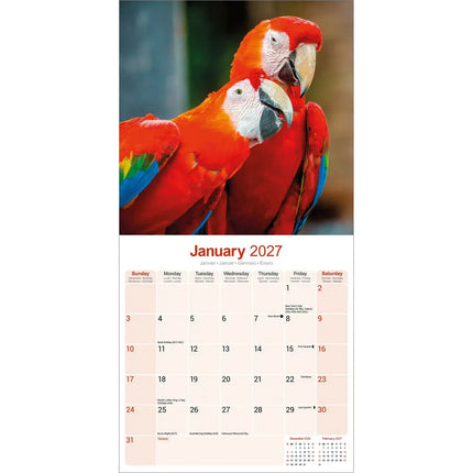 Avonside Ara Kalender 2027