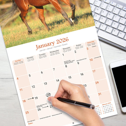 Avonside Arabier Kalender 2026