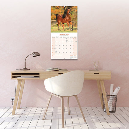 Avonside Arabier Kalender 2026