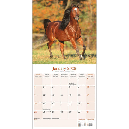 Avonside Arabier Kalender 2026