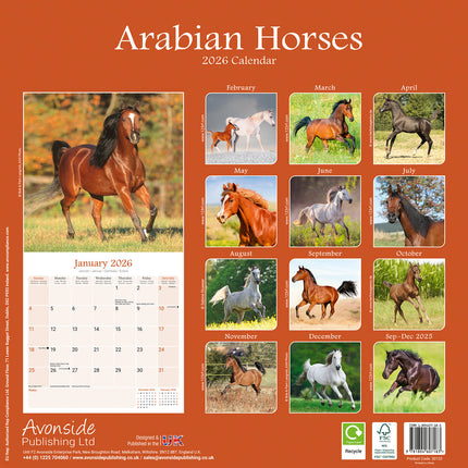Avonside Arabier Kalender 2026