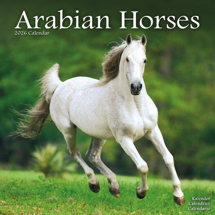 Avonside Arabier Kalender 2026