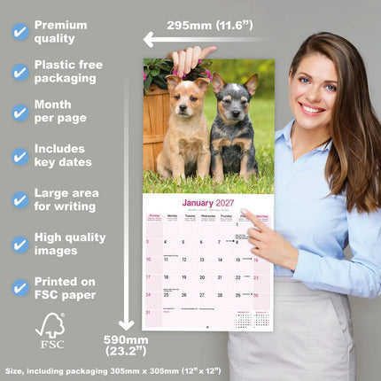 Avonside Australian Cattle Dog Kalender 2027