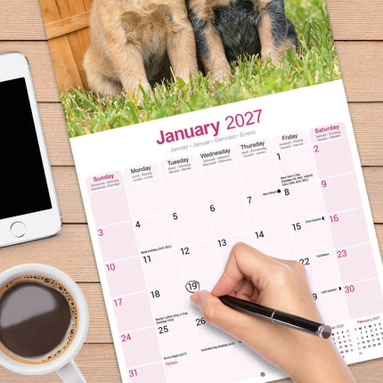 Avonside Australian Cattle Dog Kalender 2027
