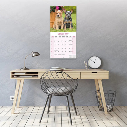Avonside Australian Cattle Dog Kalender 2027