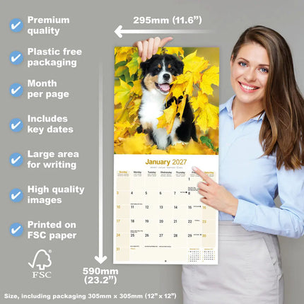 Avonside Australian Shepherd Kalender 2027