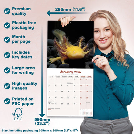 Avonside Axoloths Kalender 2026