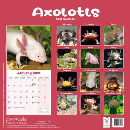 Avonside Axoloths Kalender 2027