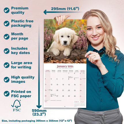 Avonside Baby Animals Kalender 2026