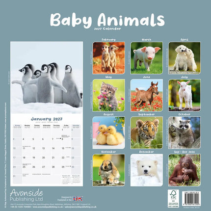 Avonside Baby Animals Kalender 2027