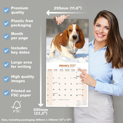 Avonside Basset Hound Kalender 2027