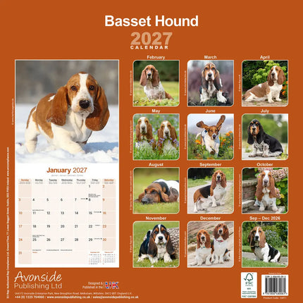 Avonside Basset Hound Kalender 2027