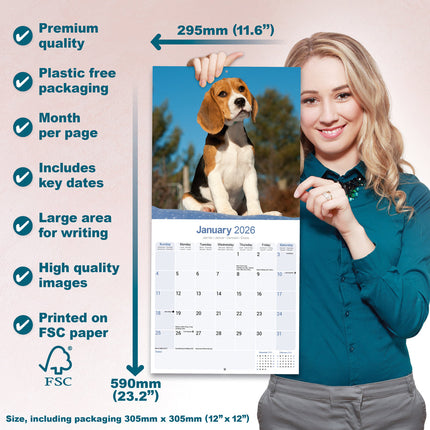 Avonside Beagle Kalender 2026
