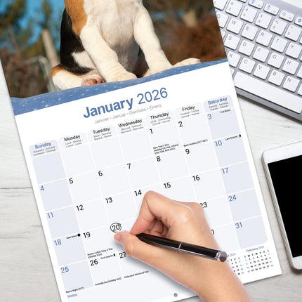 Avonside Beagle Kalender 2026