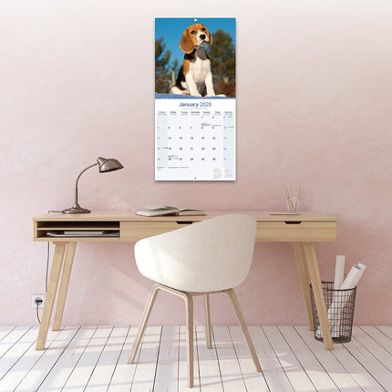 Avonside Beagle Kalender 2026