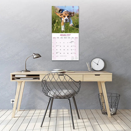 Avonside Beagle Kalender 2027
