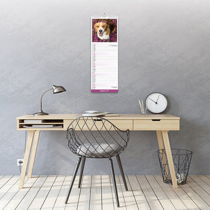Avonside Beagle Kalender 2027 Slimline