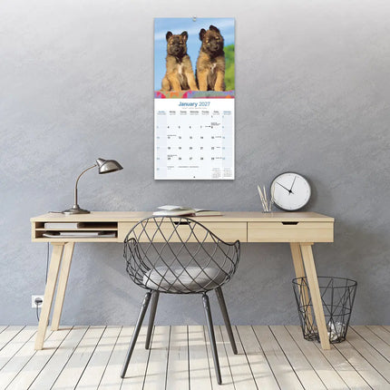 Avonside Belgische Herder Kalender 2027