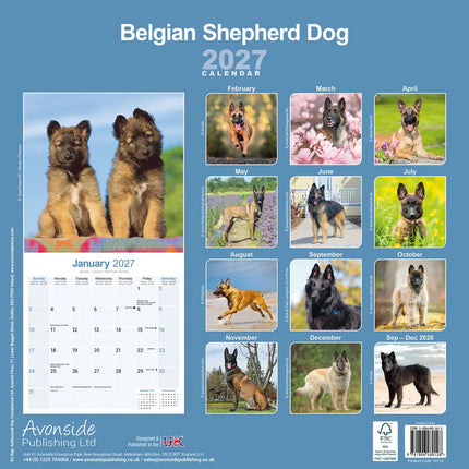 Avonside Belgische Herder Kalender 2027